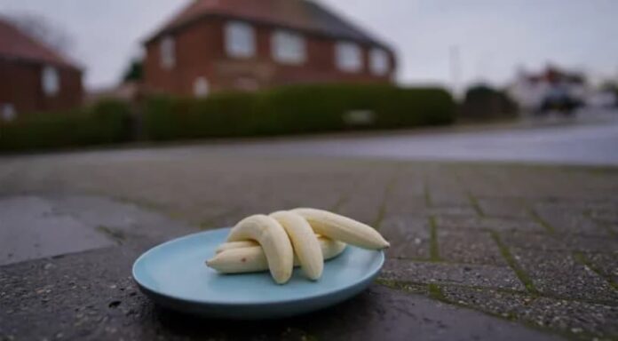 Monthly banana mysteriously appear at UK road junction