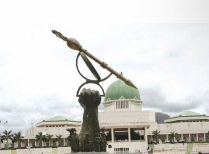 NASS hails FIRS for exceeding revenue target, projects N25 trillion in 2025