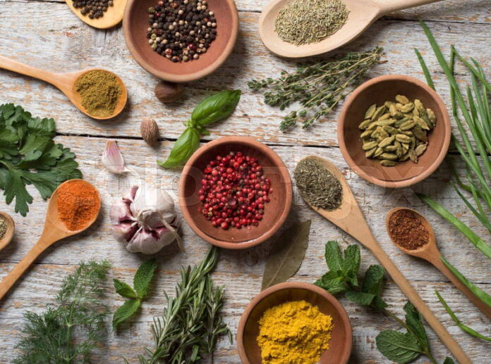 Basil, Turmeric, and Mint: Nature’s magical herbs that heal, soothe, transform your health