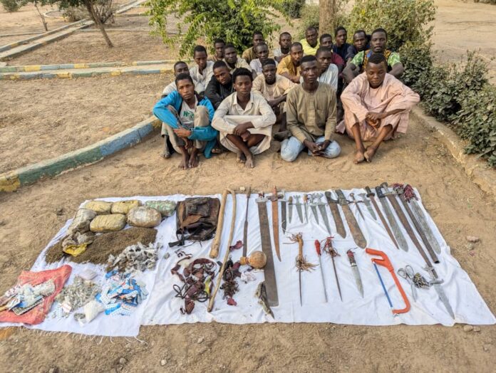 Police in Kano arrest 20 in anti-thuggery operation, recover weapons, drugs