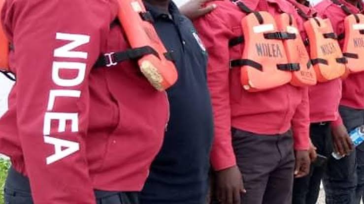 NDLEA arrests 366 traffickers, seizes 1.56 tonnes of hard drugs 