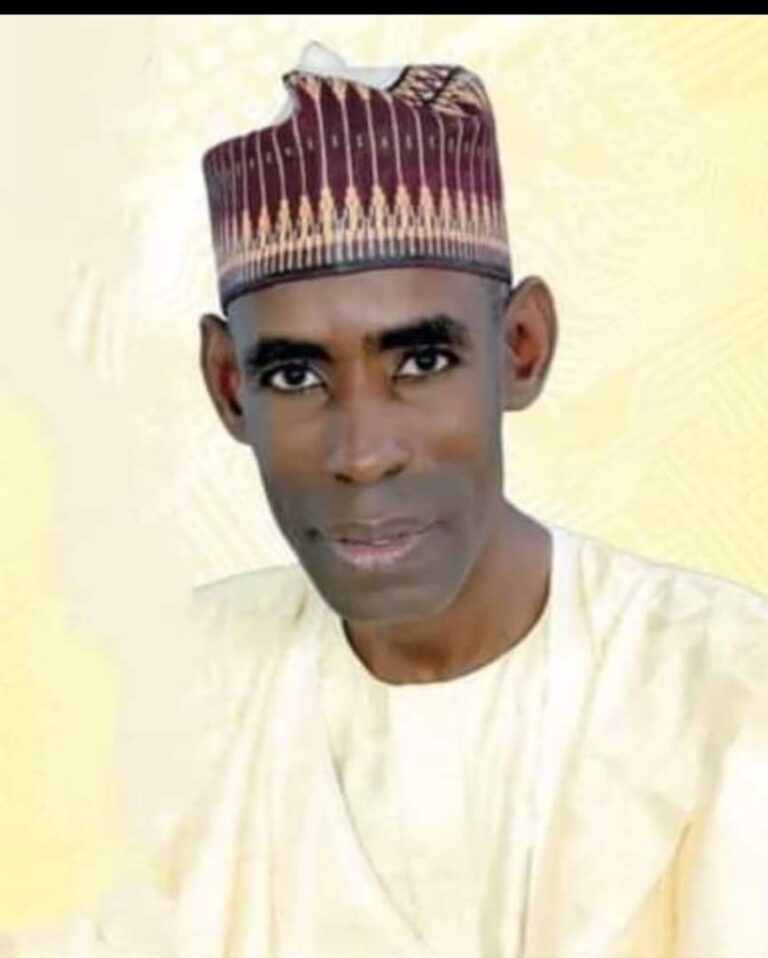 False Alert, Security, Opposition, and the Dangers Therein: Kano as a case study, by Engr. Bello Gwarzo Abdullahi, FNSE