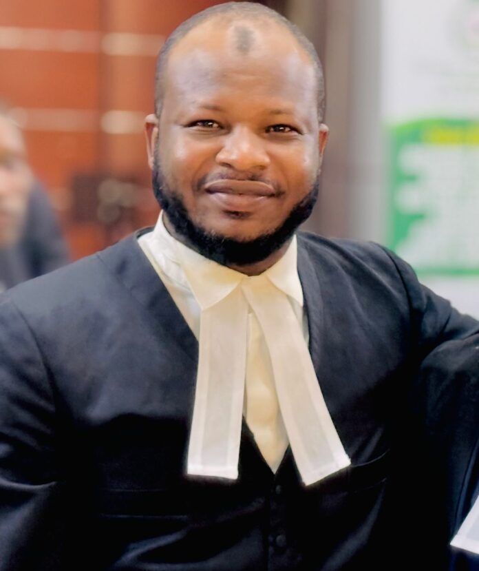 National Assembly's Extension Of IGP Kayode Egbetokun's Tenure: Implications for the Nigerian Police Force, by Hamza Nuhu Dantani, esq