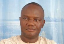 Tasks before South-West Development Commission, by Abiodun Komolafe