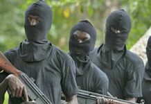 Terrorists kill 5 in fresh Plateau attack