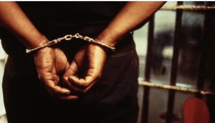 Two young men bag jail term for stealing chicken, generator
