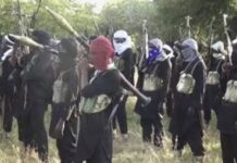 FG confirms US airstrikes targeting dozens of terrorists in Sokoto "Gov't is watching but nothing is done" - Villagers lament as bandits abduct 53 people, kill 6