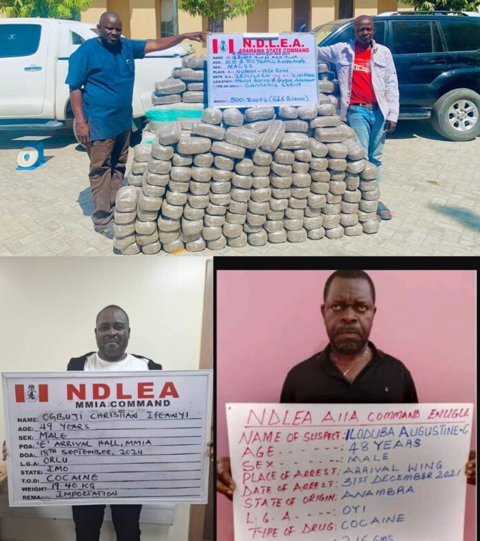 4 drug kingpins bag 95 years in jail, forfeit jeeps, others