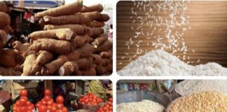 List: Prices of essential food items drop at Kano Trade Fair Complex