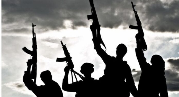 Bandits kill 28 in fresh attacks in Zamfara