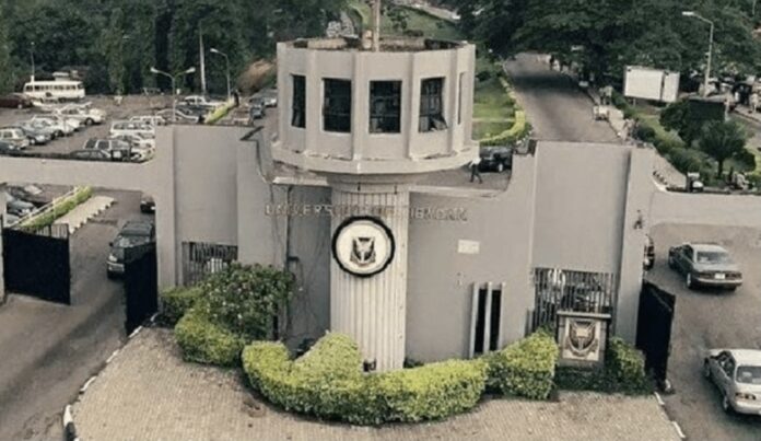 IVF: University of Ibadan raises concern over students egg donation trend