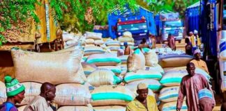 Prices of beans shoot up while costs of other grains drop at Potiskum Market