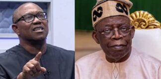 I would have done better as Nigerian president than Tinubu – Peter Obi