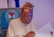 Group asks Tinubu to declare state of emergency in Zamfara over insecurity