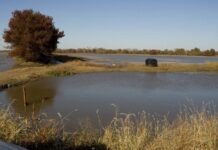 How two women drowned in Kano pond after work – Police How two women drowned in Kano pond after work - Police