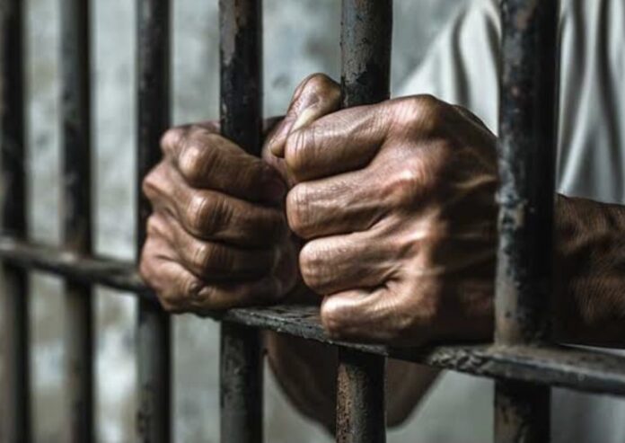 Fan sent to jail for allegedly assaulting Plateau United player