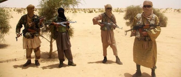 Terrorists invade Adamawa community, kill 7 people