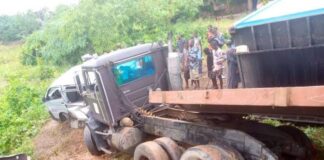 Trailer crushes 2 vigilantes to death