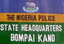 Police arrest 41 suspects over murder of DPO in Rano