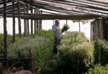 Getting Shot 6 Times, Years of Imprisonment: Life, trials of world’s poorest president (May 1935 – May 2025) Getting Shot 6 Times, Years of Imprisonment: Life, trials of world's poorest president (May 1935 – May 2025)