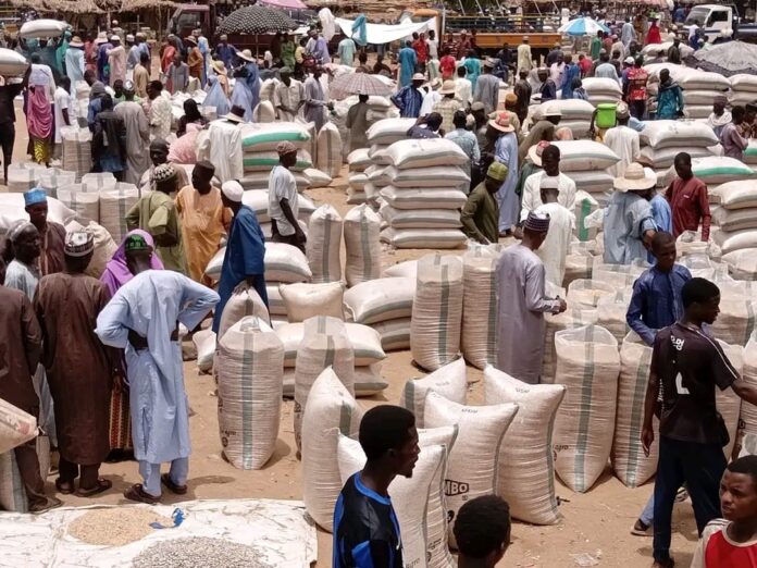 Food prices drop in Nangere's grain market