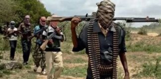 23 reported killed as armed herdsmen invade 4 Benue LGAs