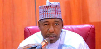Zulum bans sale, consumption of alcohol in Borno