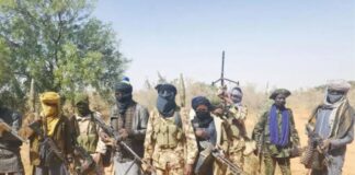 Again, terrorists storm Kogi community, kidnap retiree, 3 others
