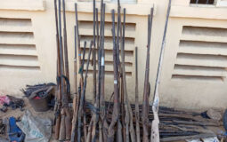 Police arrest 14, recover fake currencies