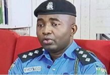 Police arrest 19-year-old for kidnapping, murder