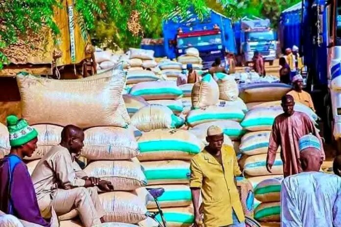 Grain prices drop in Ngelzarma market, bringing relief to traders, consumers