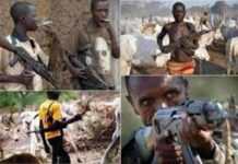 Benue Killings: 160 killed in 1 month including police, soldiers