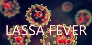 142 deaths, 747 confirmed Lassa fever cases recorded across 18 states - NCDC