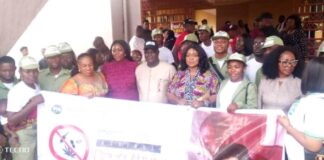 NDLEA seizes 1.26 tons of drugs in Enugu