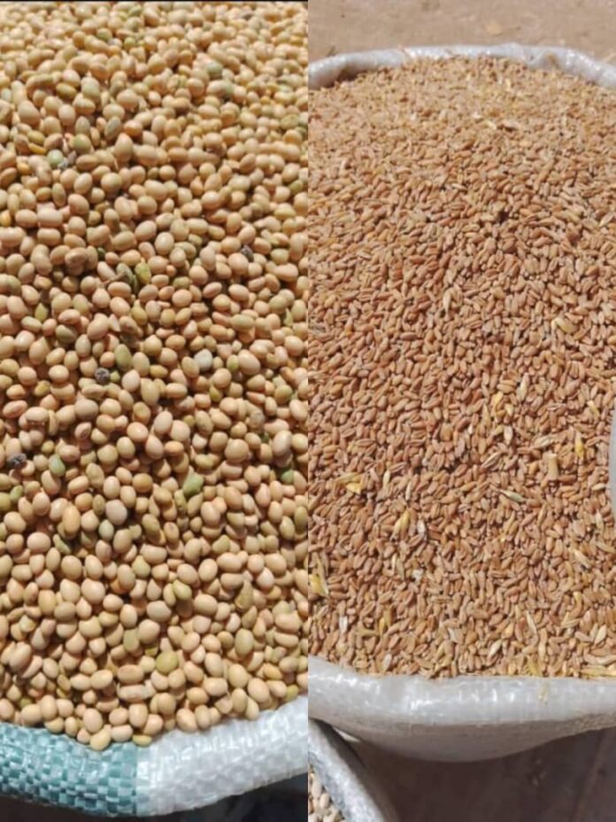 Food prices increase in Dambatta market, Kano