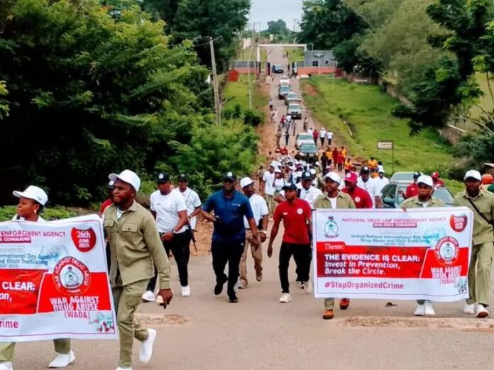 4 out of 10 undergraduates are into drugs – NDLEA 4 out of 10 undergraduates are into drugs – NDLEA