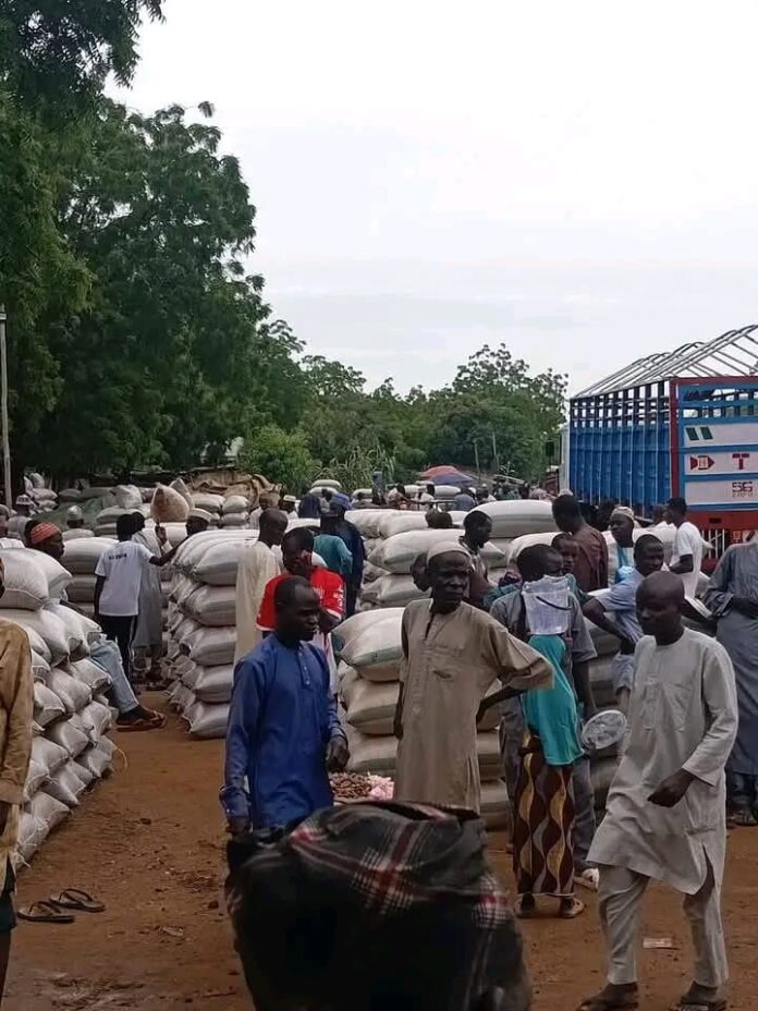 Prices of beans, millet, sorghum decline in Ngalda market, Yobe Prices of beans, millet, sorghum decline in Ngalda market, Yobe