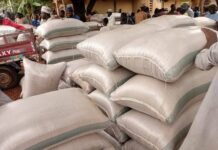 Grain prices at Dawanau market, Kano Grain prices at Dawanau market, Kano