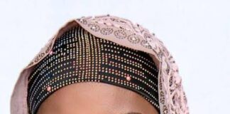 The making of a Tinubu republic, by Zainab Suleiman Okino