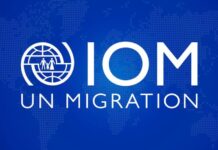 IOM commends Gov. Buni for dignified resettlement of IDPs