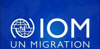 IOM commends Gov. Buni for dignified resettlement of IDPs