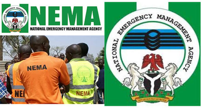 82 pregnant women, 91 elderly persons, 6,527 others displaced in Benue - NEMA 82 pregnant women, 91 elderly persons, 6,527 others displaced in Benue - NEMA