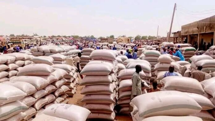 Grain prices drop in Ngelzarma market, Yobe state Grain prices drop in Ngelzarma market, Yobe state 