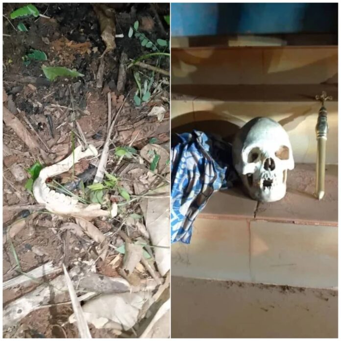 Police raid church building under construction, recover human skull, charms