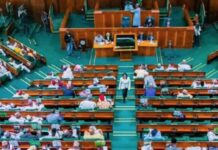 Reps pass revised ₦43.56tn, ₦48.31tn 2024, 2025 budgets House of Reps summon CBN Governor, Finance Minister over unremitted funds