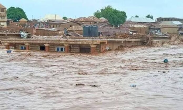 Niger Floods: Government recovers 200 corpses, survivors appeal for food, shelter