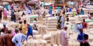 Grain prices drop sharply in Potiskum market, Yobe