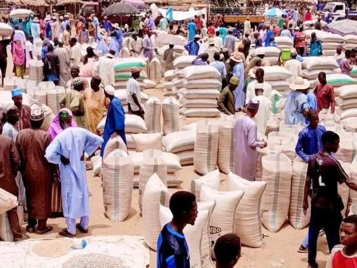 Grain prices drop sharply in Potiskum market, Yobe Grain prices drop sharply in Potiskum market, Yobe