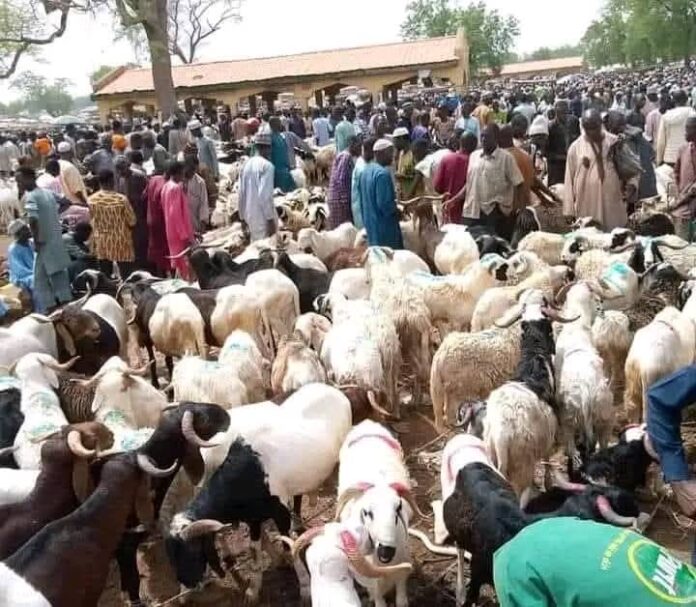 2025 Eid-el-Kabir: Muslims settle for chickens, goats as ram sells for N500,000, N700,000, N1m