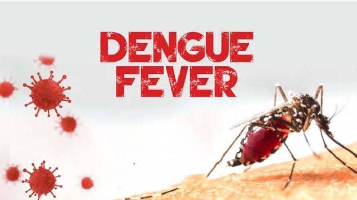Edo confirms 86 cases of Dengue fever amid ongoing health crises